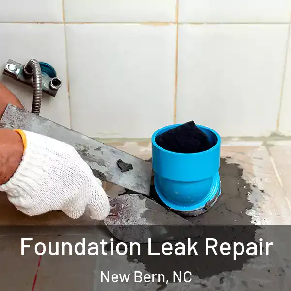  Foundation Leak Repair New Bern, NC