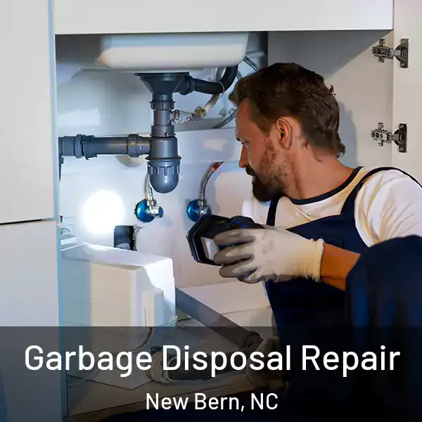  Garbage Disposal Repair New Bern, NC
