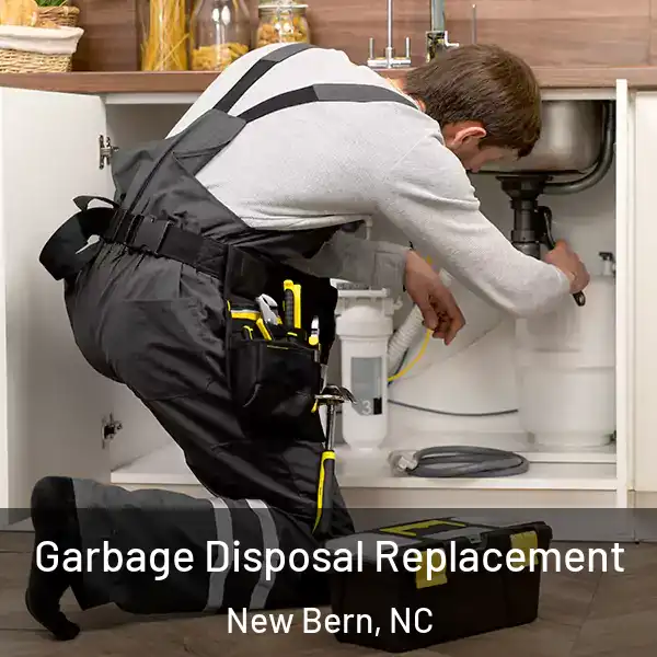  Garbage Disposal Replacement New Bern, NC