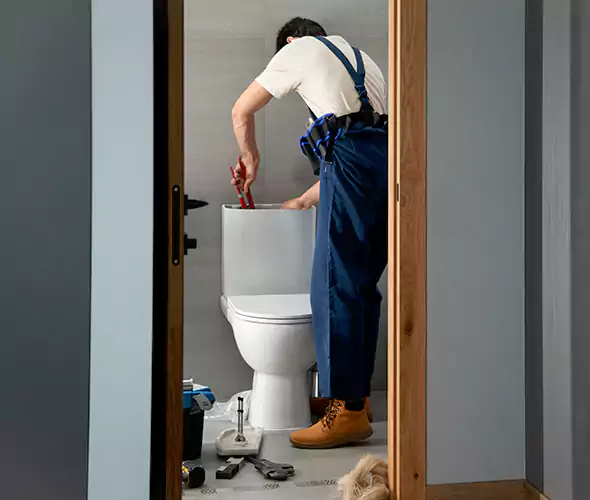 Professional Plumbers for Toilet Bowl Replacement in New Bern, NC: Schedule Affordable Toilet Replacement Services With Us