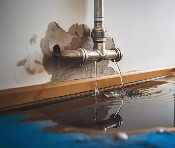 Professional Water Damage Restoration Experts in New Bern, NC — Fast, Reliable & Certified