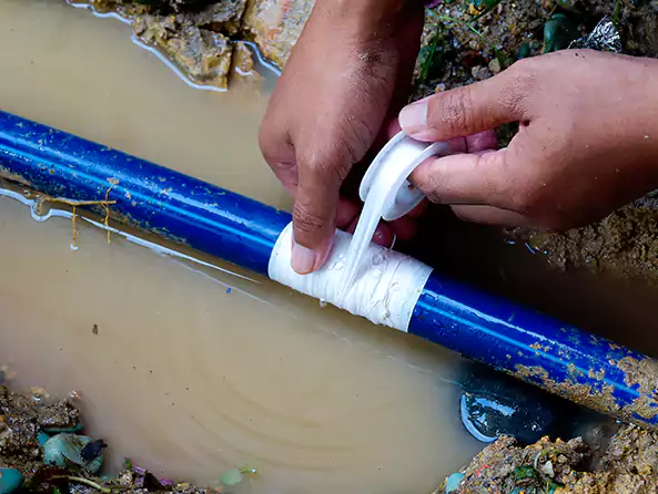  Why Choose New Bern Plumbing Pro for Leak Detection in New Bern, NC?]