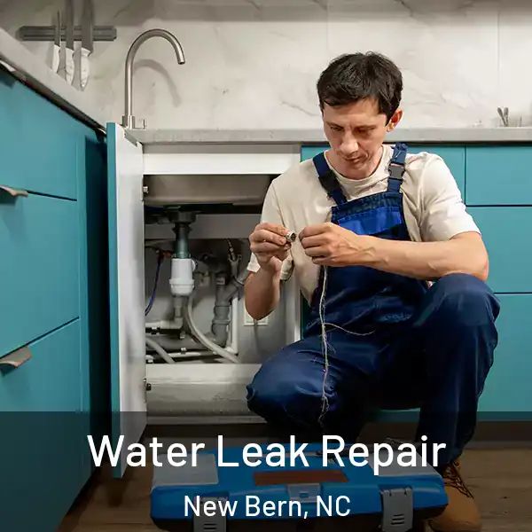  Water Leak Repair New Bern, NC